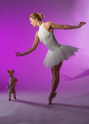 剧院萌宠狗狗和芭蕾舞美女图片